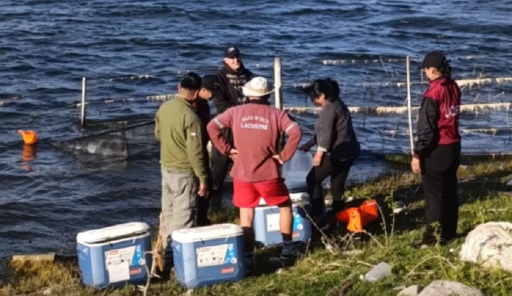Repoblación de especies en Cabra Corral
