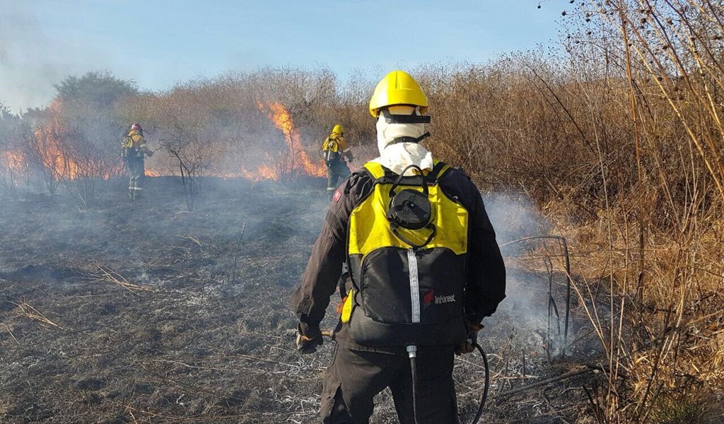 Alerta por incendios forestales en la ciudad