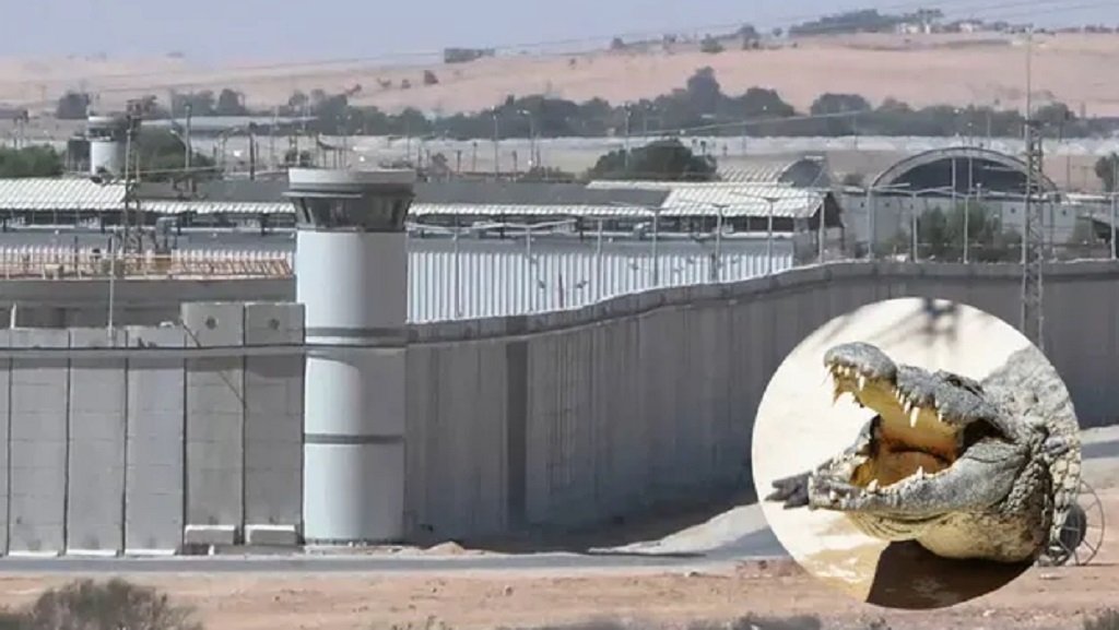 Israel suspende obras de la prisión Ketziot