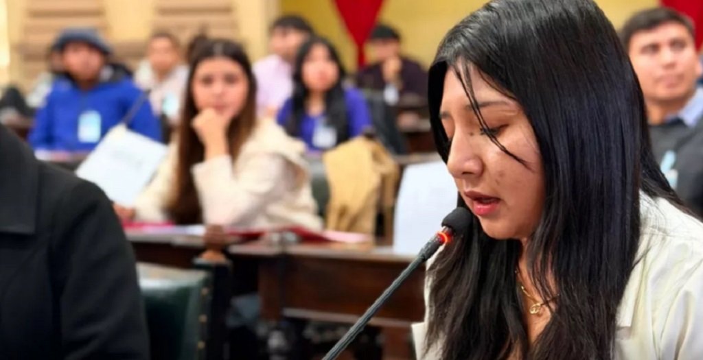 Jóvenes salteños participaron de una jornada de formación legislativa