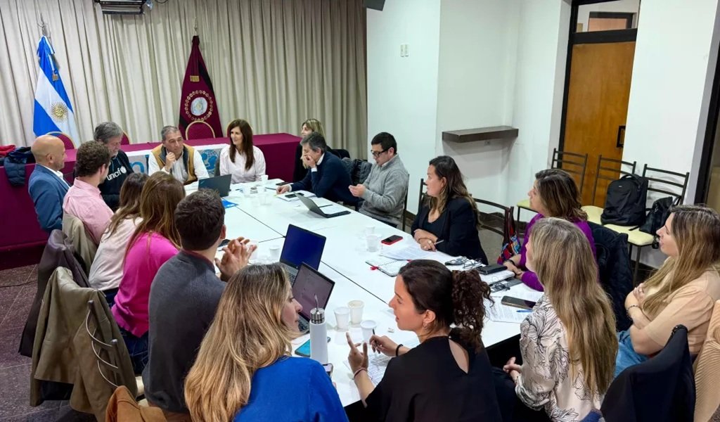 Plan provincial de prevención de salud mental adolescente