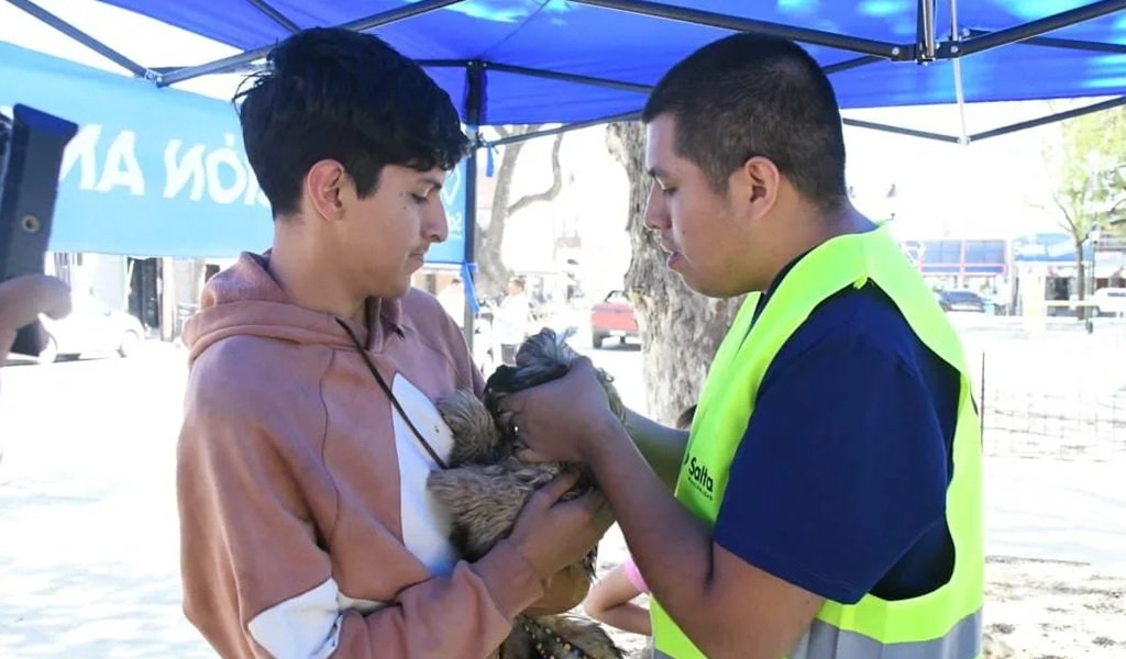 Vacunación antirrábica en la zona sur de la Capital