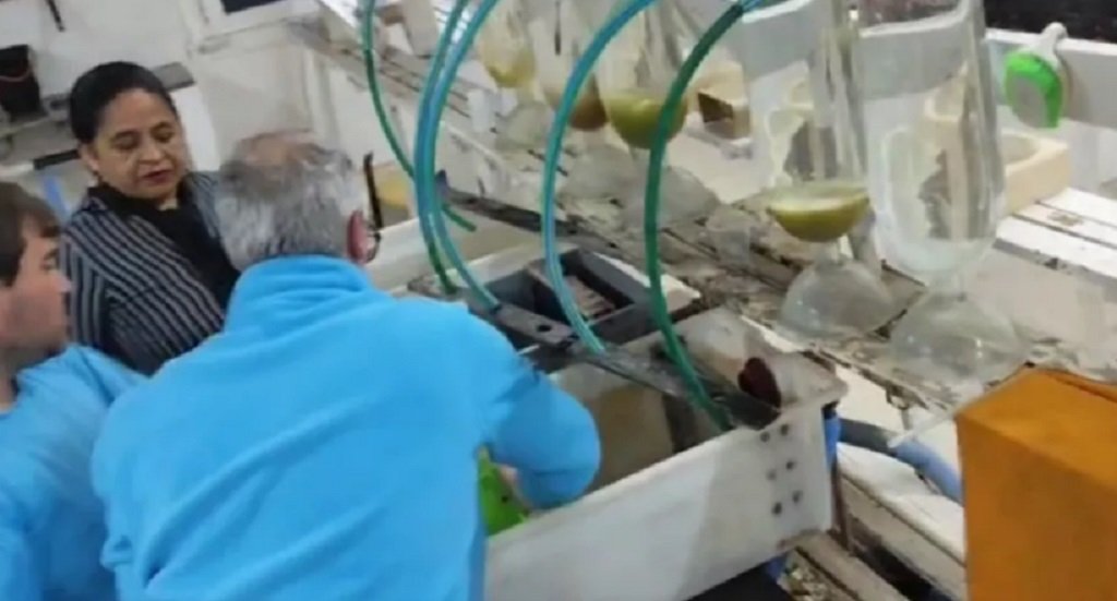 Liberaron 18 mil alevinos en el dique Cabra Corral