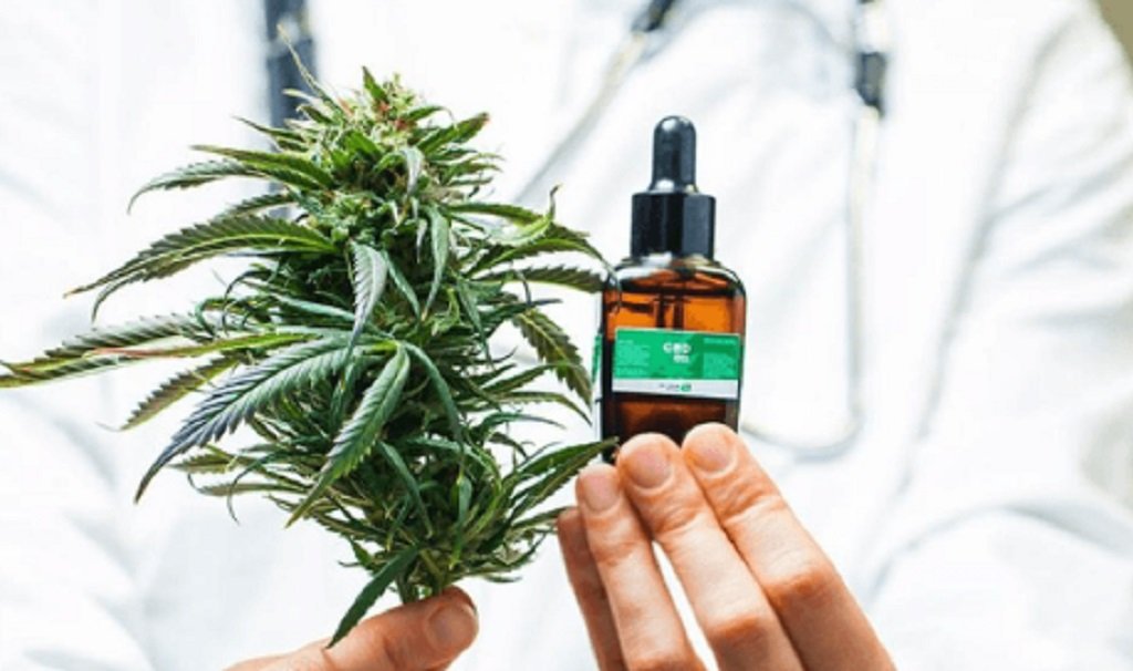 Trump cambió el estatus del cannabis 