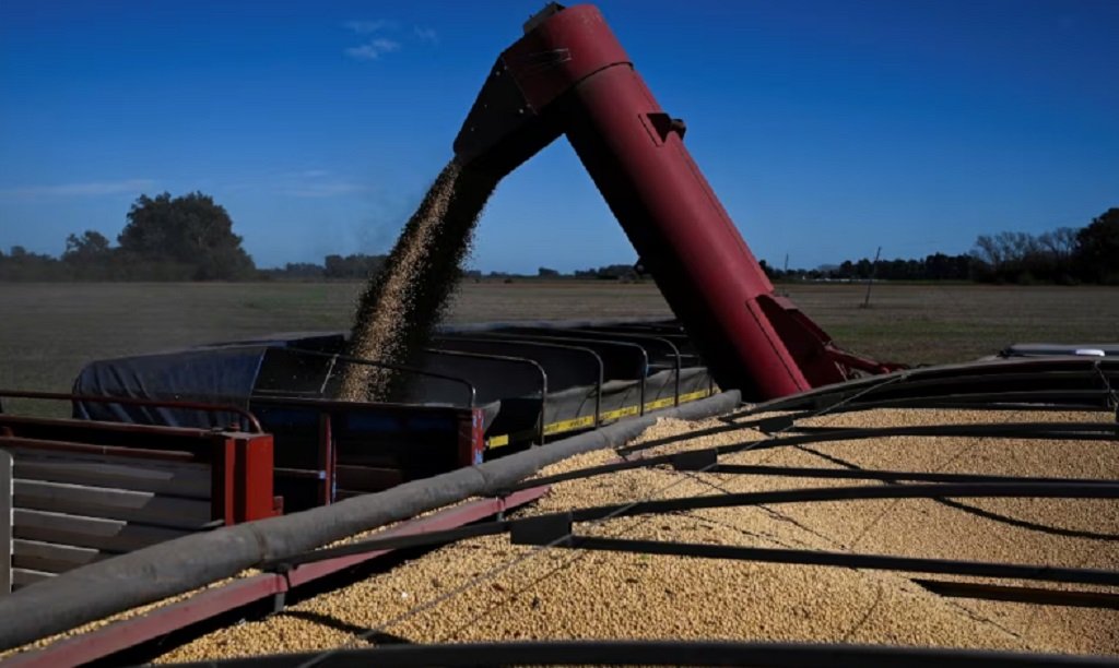 Retenciones: hay 20% de soja sin comercializar