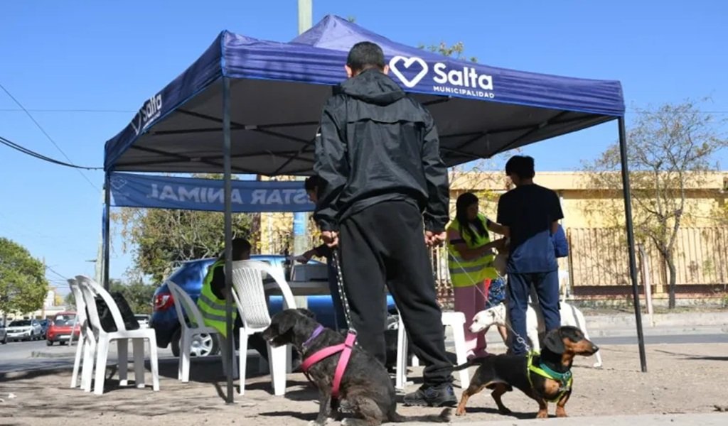 Vacunación Antirrábica: Desde mañana en la zona sur