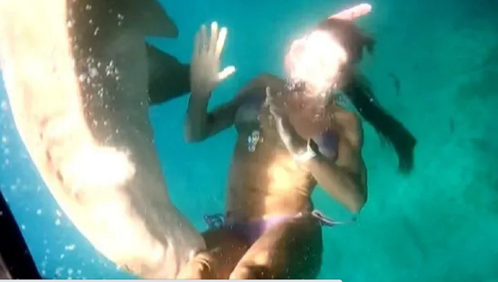 Tiburón mordió a una turista en Brasil