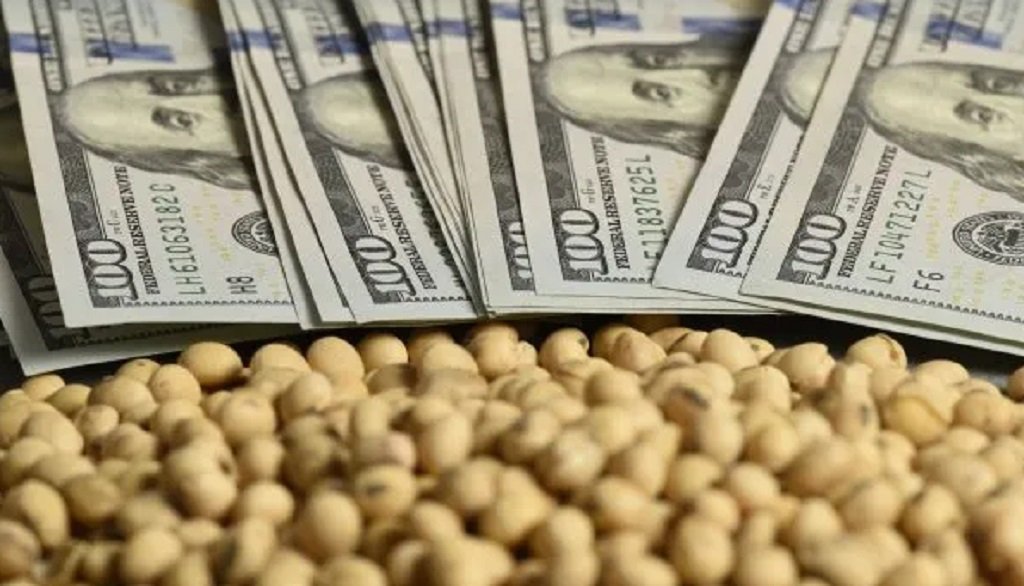 Los futuros de soja tocaron máximos 