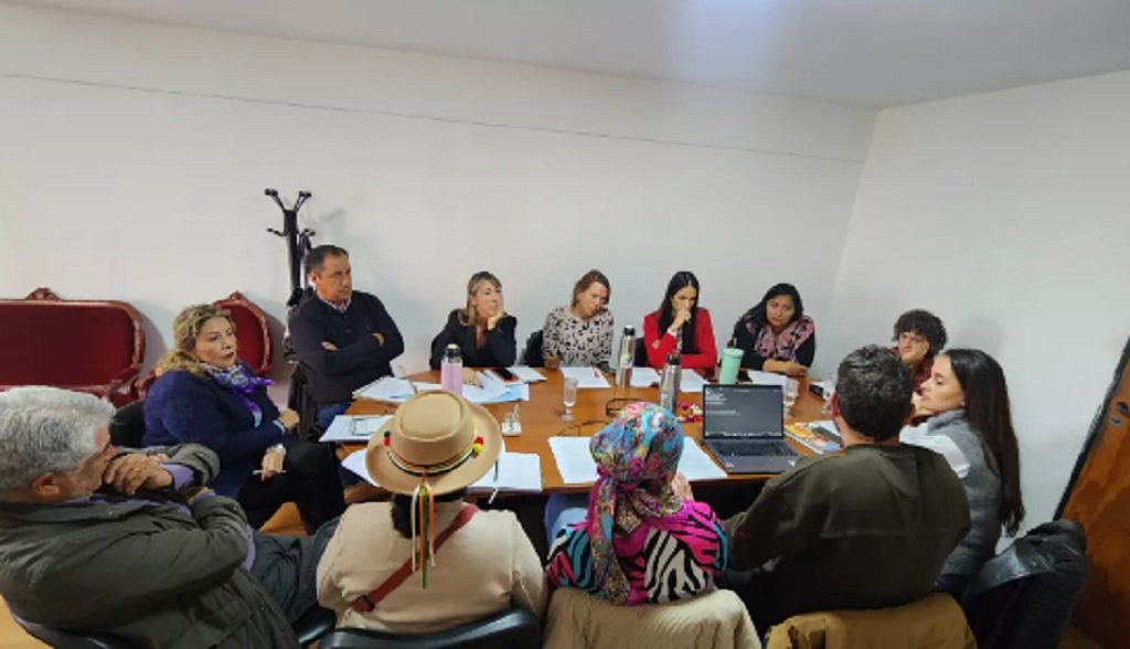 Salta avanza en la Ley Octorina