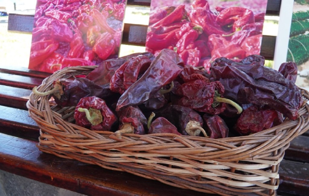 Fiesta Provincial del Pimiento en Payogasta