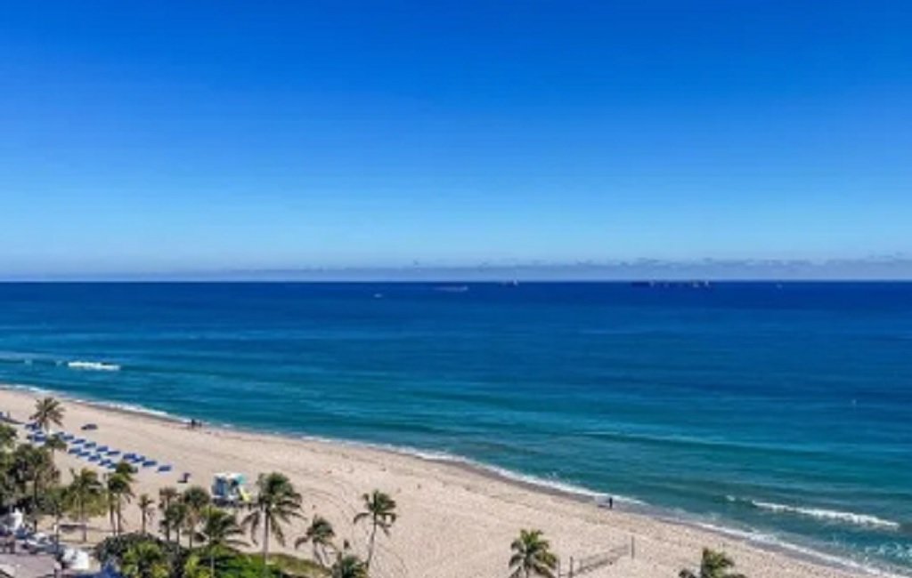 EE:UU: alerta en la playa por una bacteria