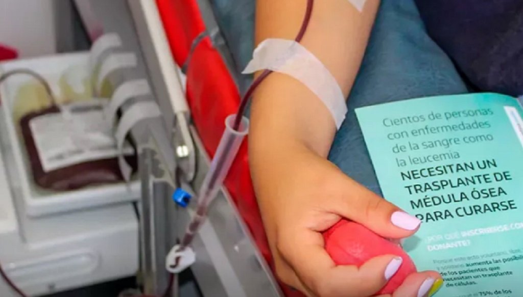 Salta alcanzó un nuevo récord en trasplantes de médula ósea
