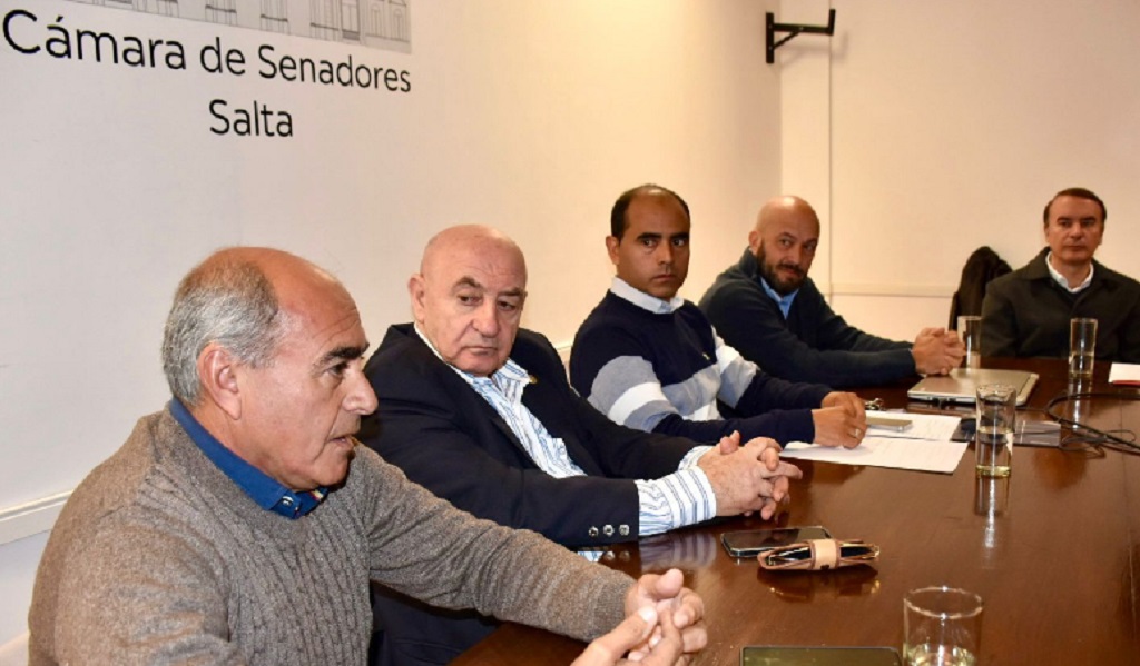 Senado: la Federación Salteña de fútbol pidió apoyo financiero