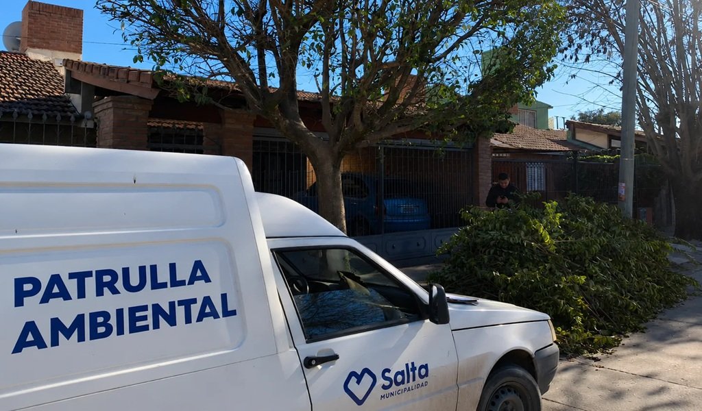 Intensifican los controles por podas no autorizadas