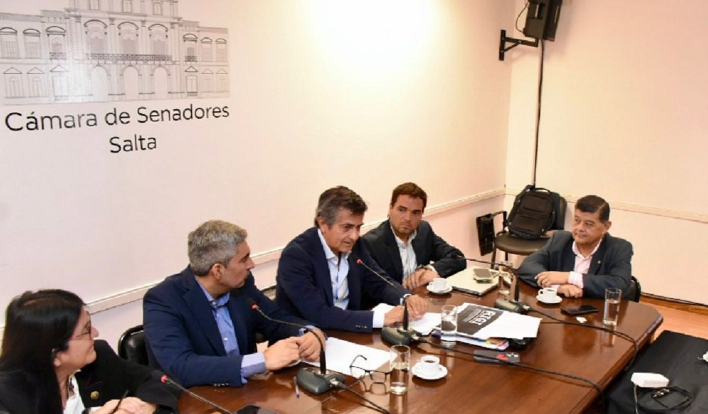 Salta. El Senado analizó proyecciones de desarrollo minero