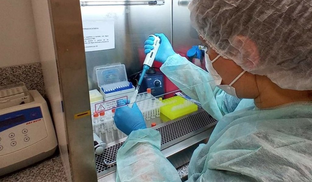 Incorporan test rápidos para la detección de Chikungunya