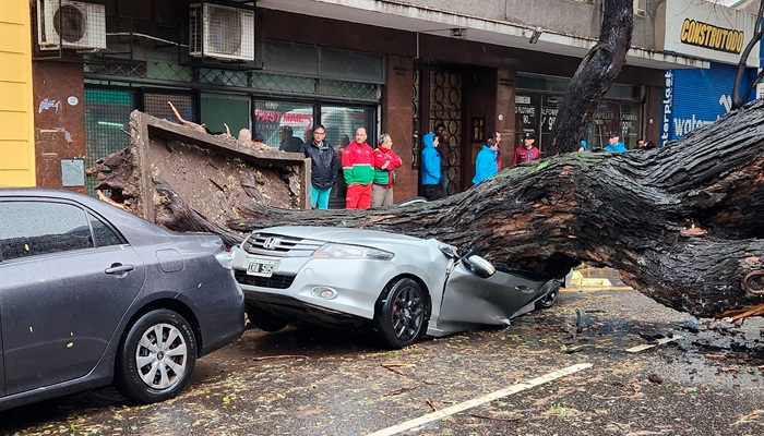 Crítica situación en Buenos Aires por las intensas lluvias