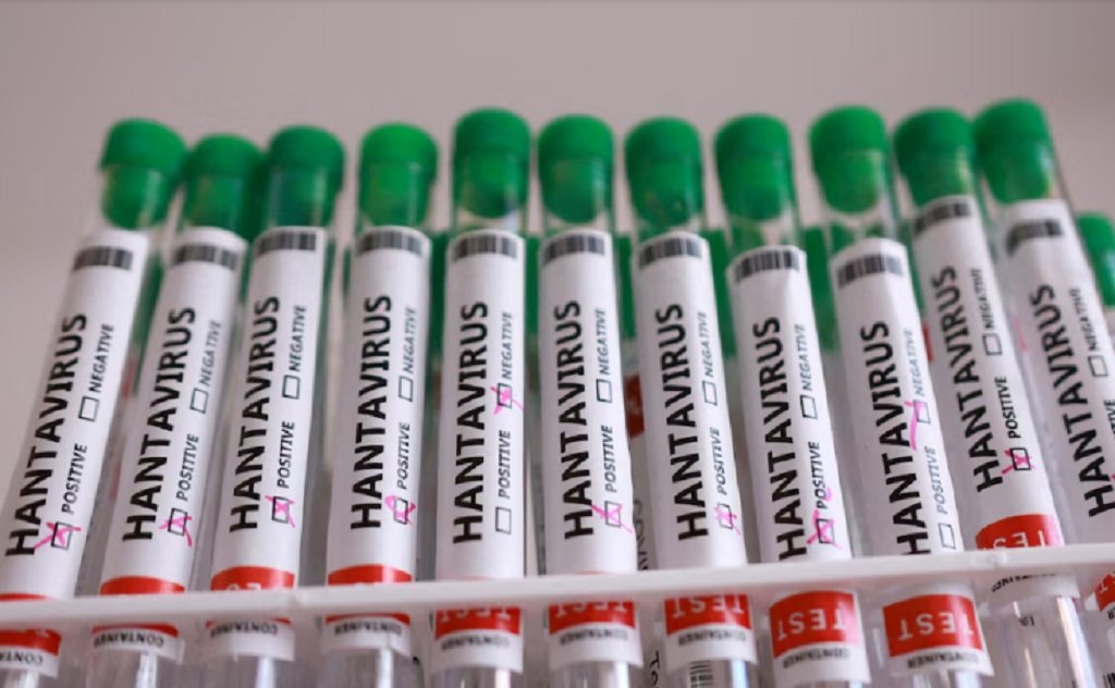 Hantavirus: en Salta se registraron 17 casos