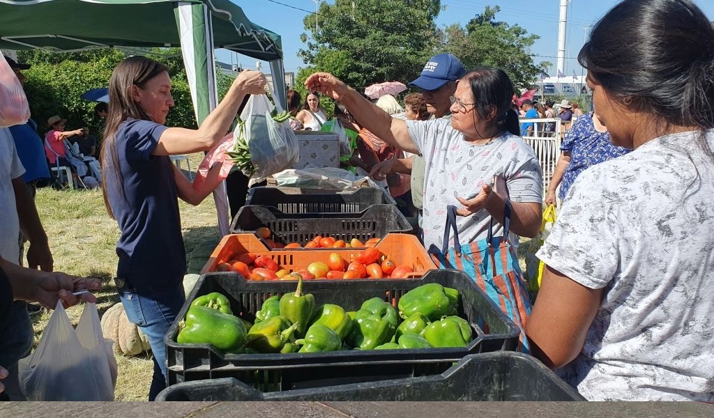 El Mercado en tu Barrio: Desde el martes en la zona oeste alta