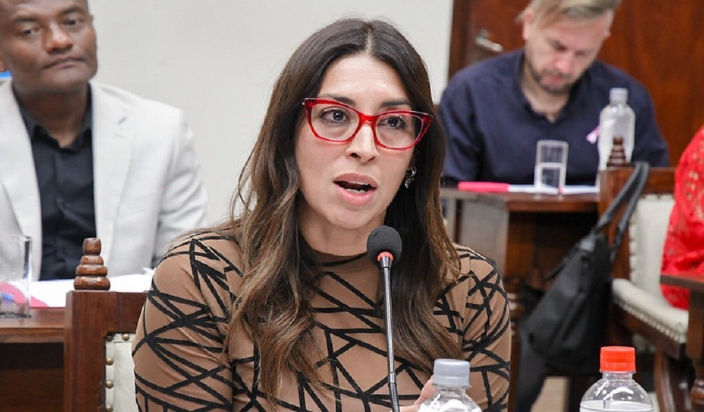Concejales endurecen las sanciones por maltrato animal
