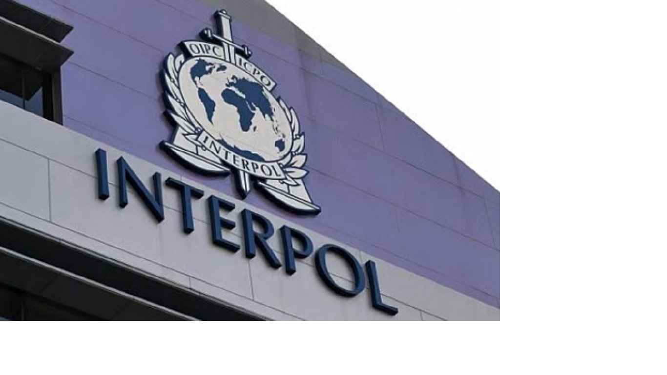 Interpol incautó más de 1.000 animales