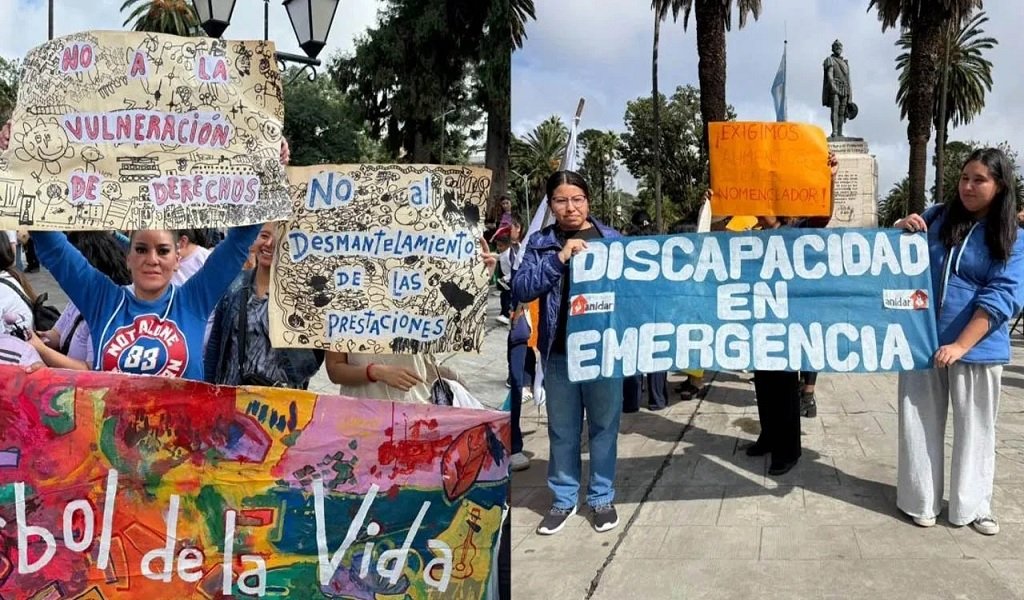 El PRO cruzó a LLA por Discapacidad