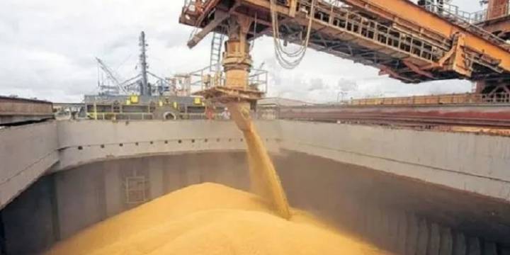 Estiman que la cosecha superará este año los US$30.000 