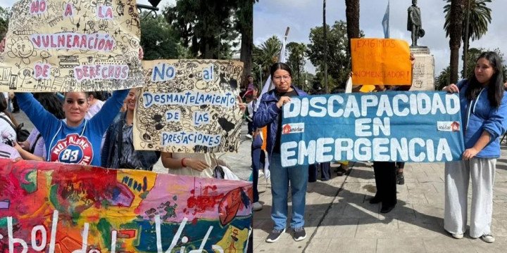 El PRO cruzó a LLA por Discapacidad