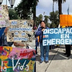 El PRO cruzó a LLA por Discapacidad