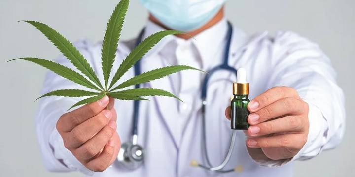 Brasil podría abrir la puerta al cultivo legal de cannabis