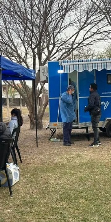 Servicio de castración animal para esta semana