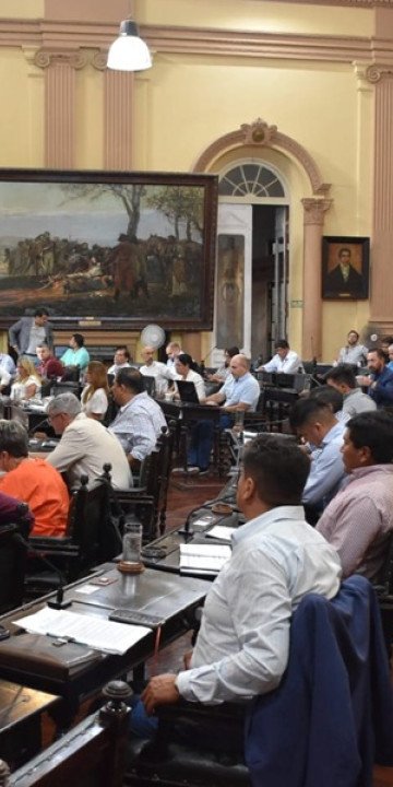 Diputados aprobó la protección fitosanitaria de la banana salteña