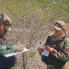 Control de protección de recursos naturales