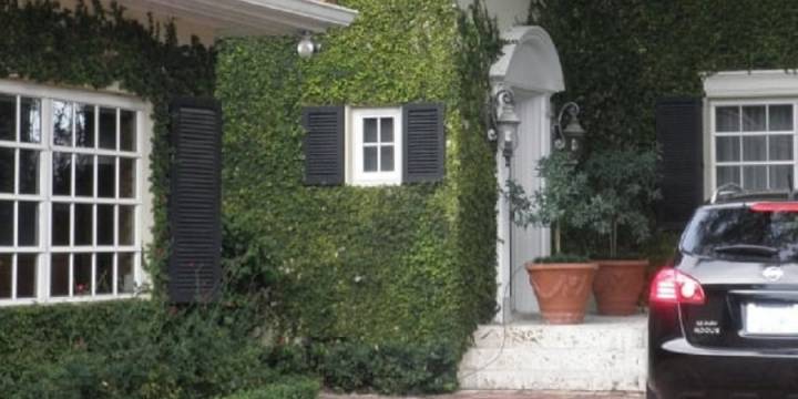 El susto de Susana Giménez en su casa de Miami