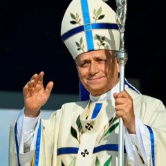 Gobierno condiciona la visita del papa