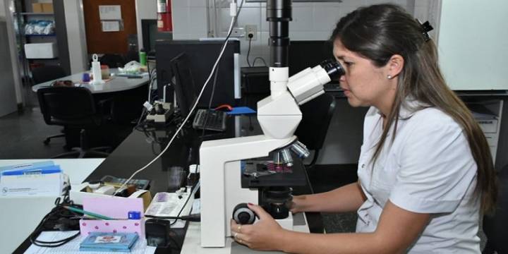 Informaron la situación epidemiológica de la provincia