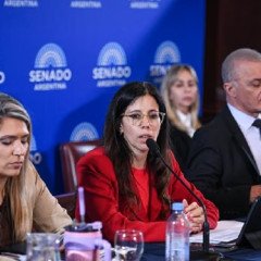 Avanza la reforma de la ley de Salud Mental