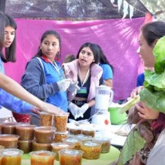 Antillas será sede de la Expo Técnica