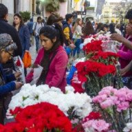 Vendedores de claveles piden trabajar cerca de la Catedral