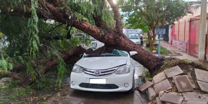 Relevan daños en la ciudad por la fuerte tormenta de viento y lluvia