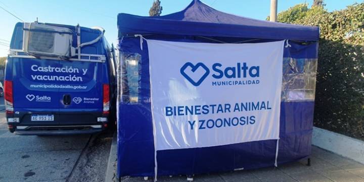 Castración Animal: Desde mañana en la zona oeste baja