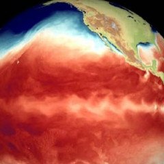 El Niño golpea al mundo, podría  intensificarse